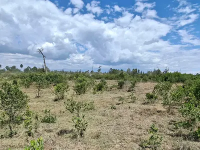 11 Acres of Land — Mukima, Nanyuki, Laikipia