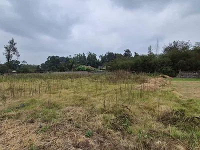 Half Acre Residential Land Plot — Roysambu, Nairobi