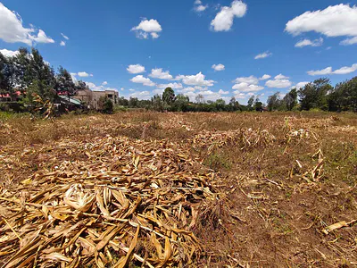Prime ½ Acre for Sale Olkeri, Kajiado Near Karen — Olkeri, Kajiado
