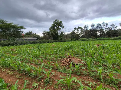 Residential Land Plot — Ridgeways Nairobi, Ruaka, Kiambu