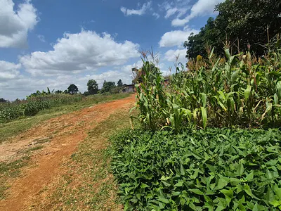 2 Acres Residential Land — Old Runda Estate, Nairobi, Runda, Westlands, Nairobi