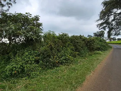 3 Acres Residential Land — Riara Ridge, Ruiru, Kiambu