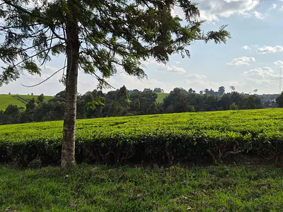 12.5 Acres Mixed-Use Land — Riara Ridge, Nazareth Hospital Near Mabroukie, Tigoni, Kiambu