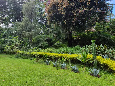 1 Acre Residential Land — Old Muthaiga, Muthaiga, Nairobi