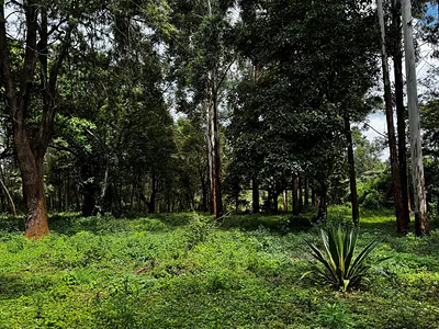 5 Acre Residential Land with House — Rhino Park Road, Karen, Nairobi