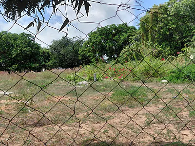 Vacant Land Gede Watamu 14M — Gede Road Watamu, Watamu, Kilifi