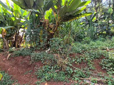 Prime 0.5 Acre Redsoil Flat Plot of Land — Kiambu Road, Runda, Westlands, Nairobi