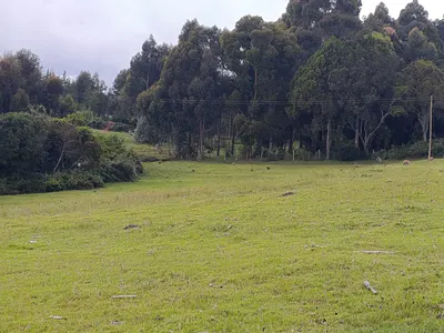 Prime 22.5 Acres Agriculturalland for Sale in Charagita, Nyandarua 30M — Nyandarua, Nyamaiya, Nyandarua