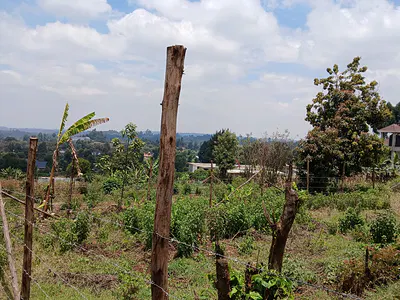 50 by 100FT Residential Plot — Kikuyu, Kiambu