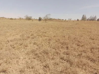 Available Plot 50 by 100 — Namanga Road, Kitengela, Kajiado