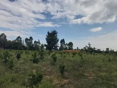 4 Acre Residential Land — Lower Burguret, Nanyuki, Laikipia