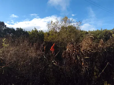 2 Acres Residential Land — Upper Burguret, Muriru, Nanyuki, Laikipia