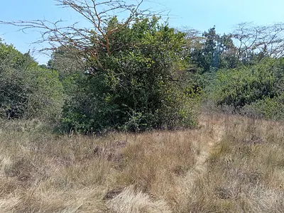 10 Acres Residential Land — Karen, Karen, Nairobi