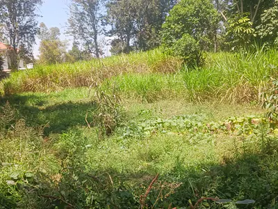 Residential Land Available — Karen, Nairobi