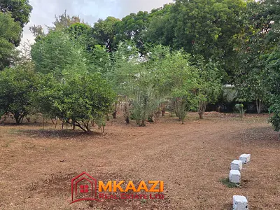 12-Acre Moringa Farm — Mijomboni, Dabaso, Kilifi
