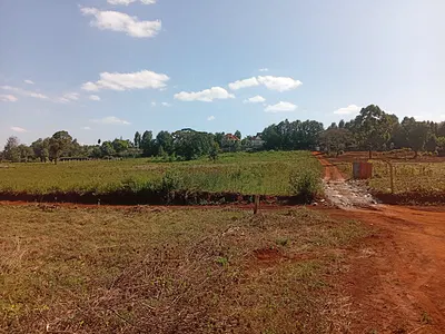 ⅛ Acre Residential Land — Kerarapon Drive, Off Ngong Road, Karen, Nairobi
