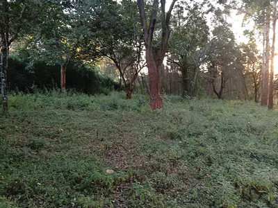 5 Acre Residential Land — Rhino Park Road, Karen, Nairobi