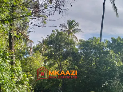 4.5-Acre Residential Land — Off Turtle Bay Road, Watamu, Kilifi