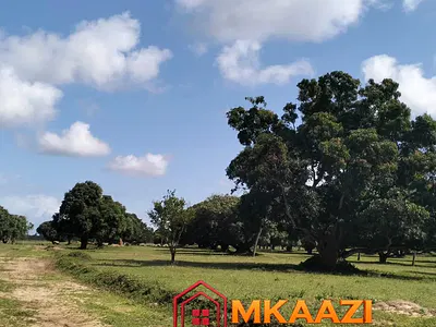 50×100 Residential Plot — Malindi, Malindi Town, Kilifi