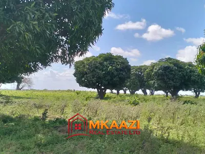 4-Acre Residential Land with Mature Mango Trees — Sabaki Ward, Magarini, Kilifi