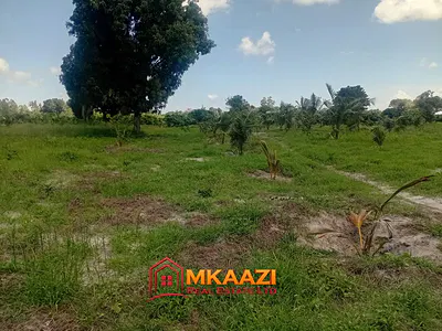 10-Acre Farm Land with Coconut and Mango Trees — Mijomboni, Malindi Town, Kilifi