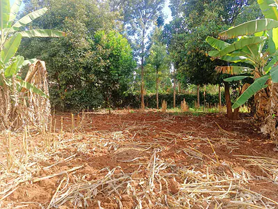 Spacious, Development Ready Plot Available Immediately! — Kamuita, Gikambura, Gikambura, Kikuyu, Kiambu