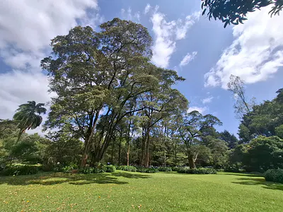 Prime Land for Development — Lower Kabete Road, Westlands, Nairobi