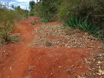 4.5 Acre Land Parcel — Mbeti South, Embu
