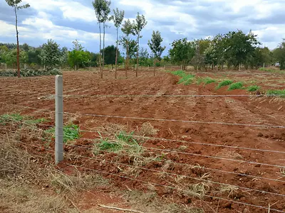 Quarter-Acre Residential Land Plot — Mbeti South, Embu