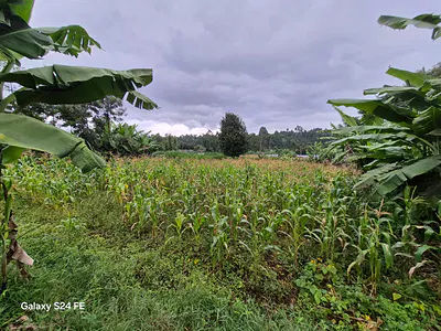 Residential Land Plot — One Redhill, Karura, Nairobi