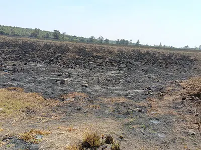 A Very Prime 10 Acres Suitable for Villas/Mall — Hillcrest Road, Karen, Nairobi