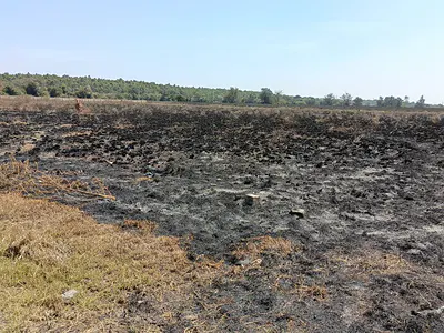 A Very Prime 10 Acres of Land — Hillcrest Road, Karen, Nairobi