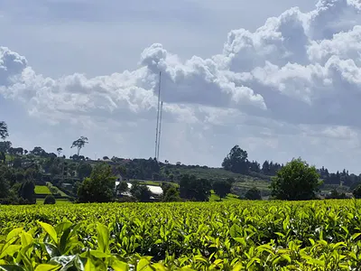 Prime Land — Along Nazareth Hospital Near Mabroukie, Tigoni, Kiambu