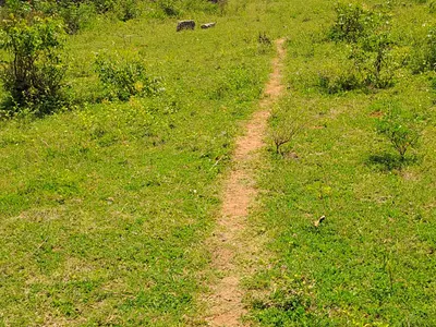 726 SQM Residential Plot — Next to the Village Entrance, Mtwapa, Kilifi