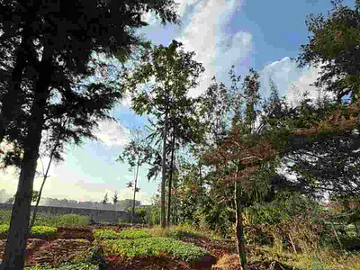 0.2 Hectares Residential Plot — Loresho, Westlands, Nairobi