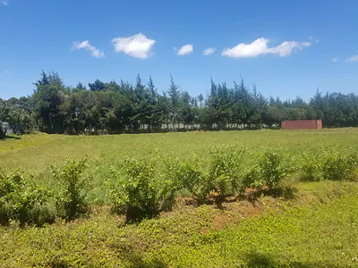 1 Acre Land — Nairobi /Nakuru Road, Ngeria, Uasin Gishu