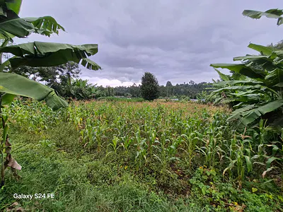 1/4 Acre Residential Plot — One Redhill, Karura, Nairobi