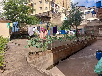 1/4 Plot for Redevelopment — Kipande Road, Ngara, Nairobi