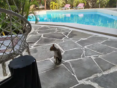 3 Bedroom Private Villa — Mombasa, Likoni, Mombasa