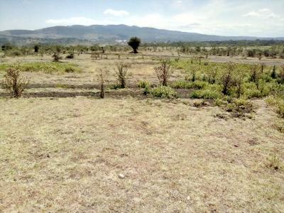 Prime 1/4 Acre Plots., Kiserian, Narumoru, Ongata Rongai, Kajiado, Land for Sale