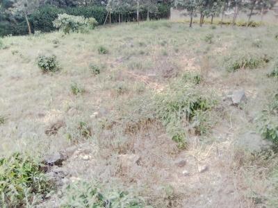 3/8th Prime Land., Matasia, Ngong, Kajiado, Land for Sale