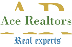 Ace Realtors LTD